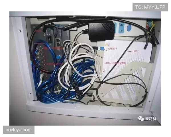 门线判定规则与门线技术判罚逻辑解析