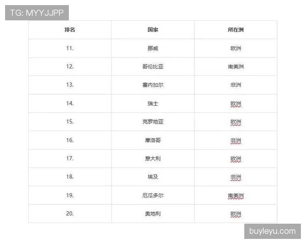 2026世界杯完整版排名决定解析